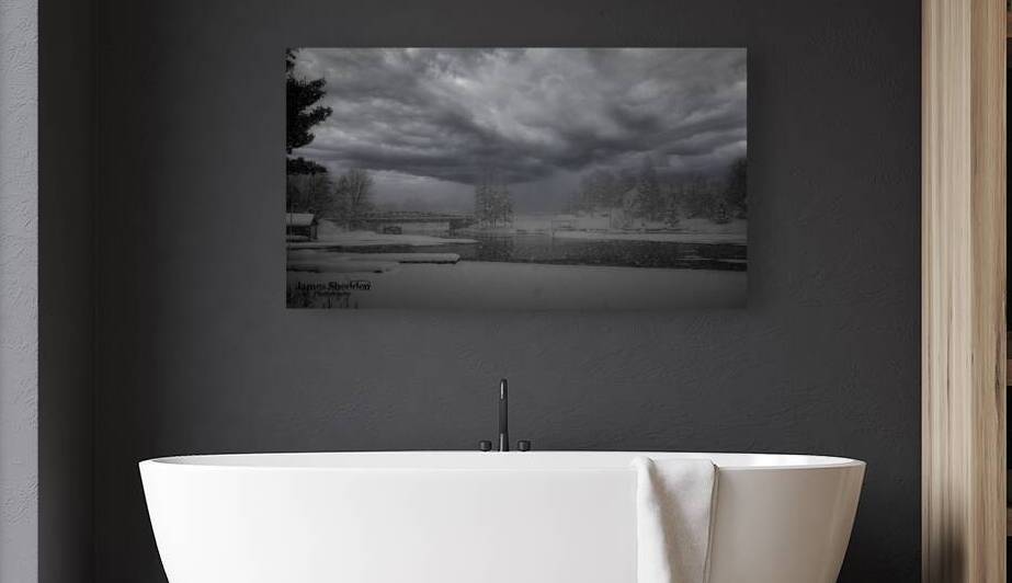 ZJS 6442  by James Shedden Photography