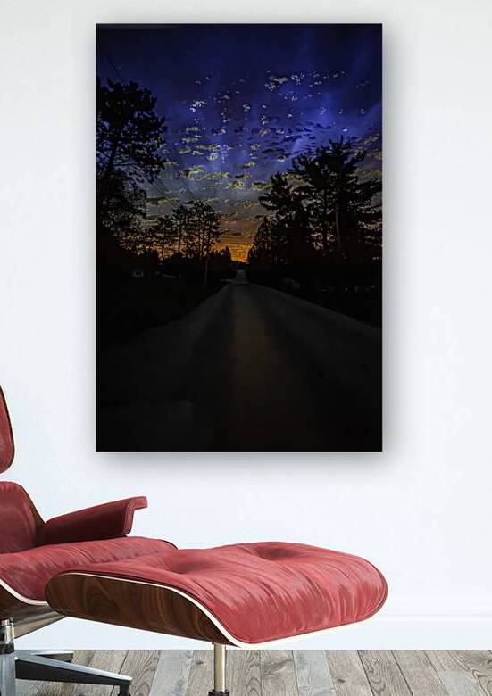 untitled 1 by James Shedden Photography