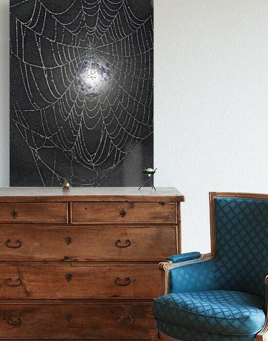 ZJS 8300  by James Shedden Photography