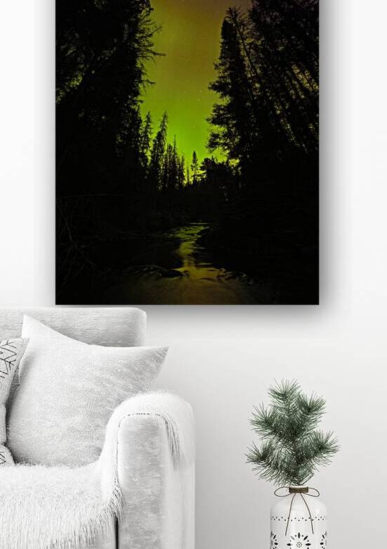 JBS 2069  by James Shedden Photography