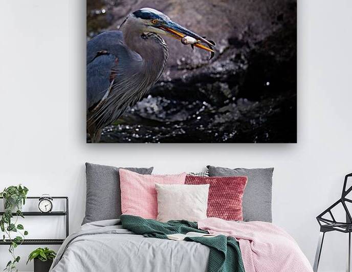 JBS 3493 2 by James Shedden Photography