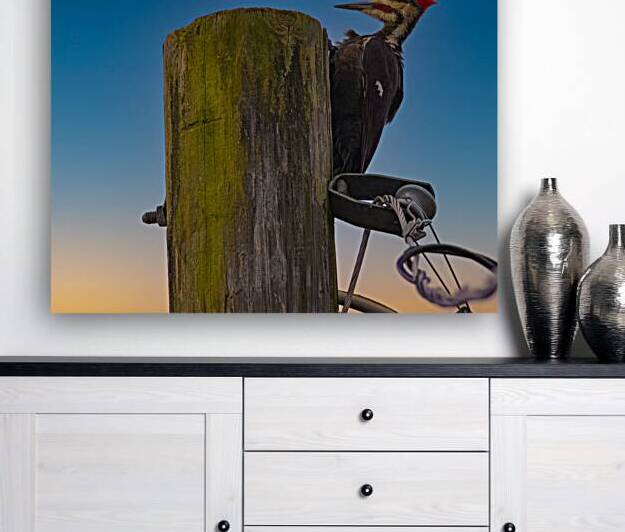 JBS 5368  by James Shedden Photography