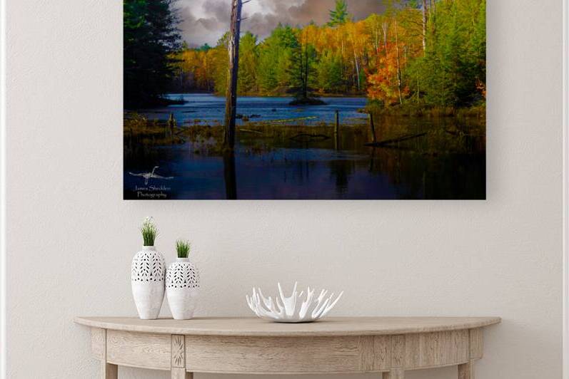  JBS4221  by James Shedden Photography