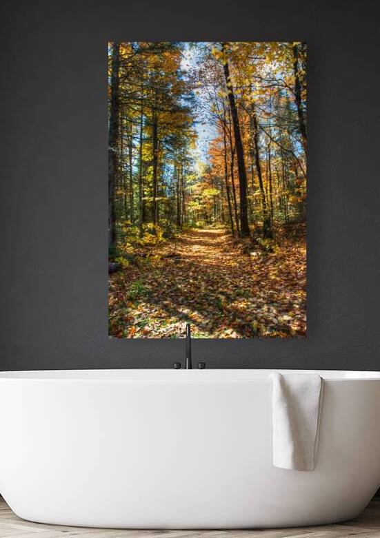 JBS 7125  by James Shedden Photography