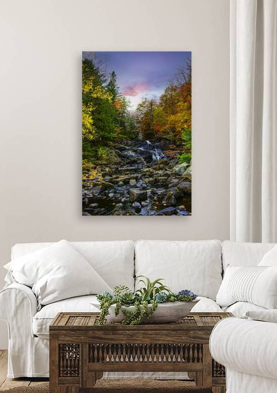 ZJS 5785  by James Shedden Photography