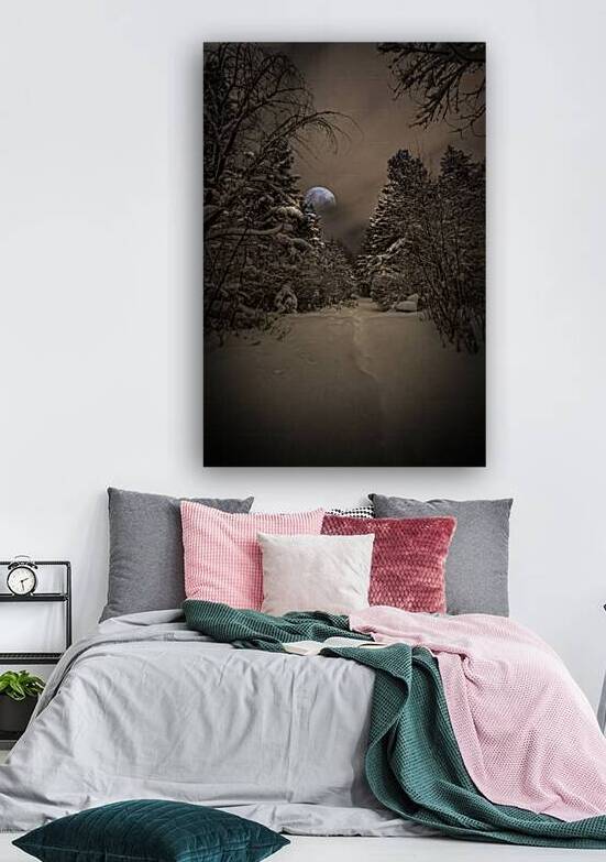 Z62 0235 2  by James Shedden Photography