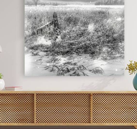 JBS 4080  by James Shedden Photography