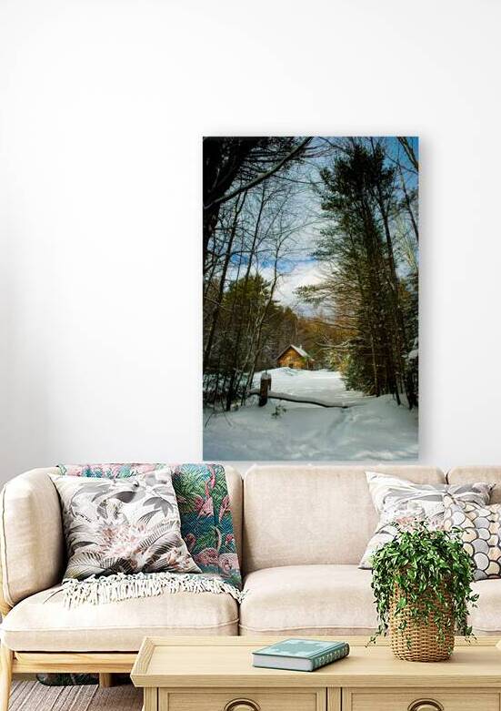 JBS 5227 by James Shedden Photography