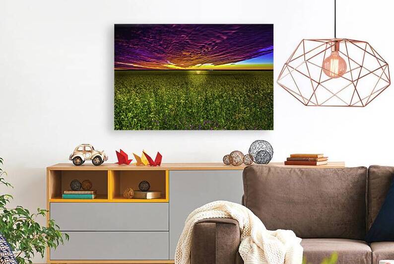 JBS 3554  by James Shedden Photography