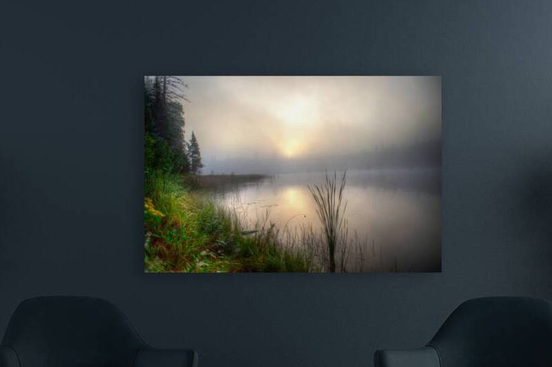 JBS 2558  by James Shedden Photography