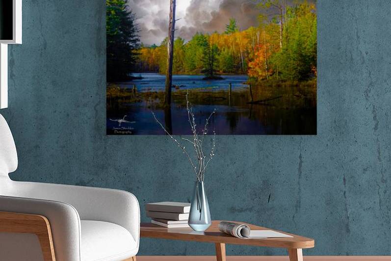  JBS4221  by James Shedden Photography