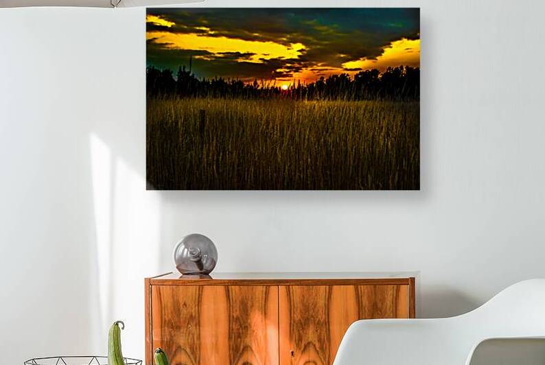 JBS 5786 by James Shedden Photography