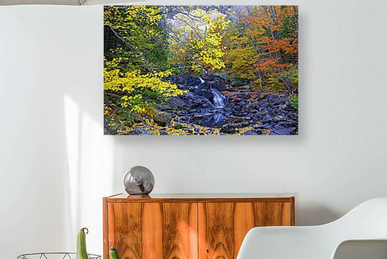 ZJS 5787  by James Shedden Photography