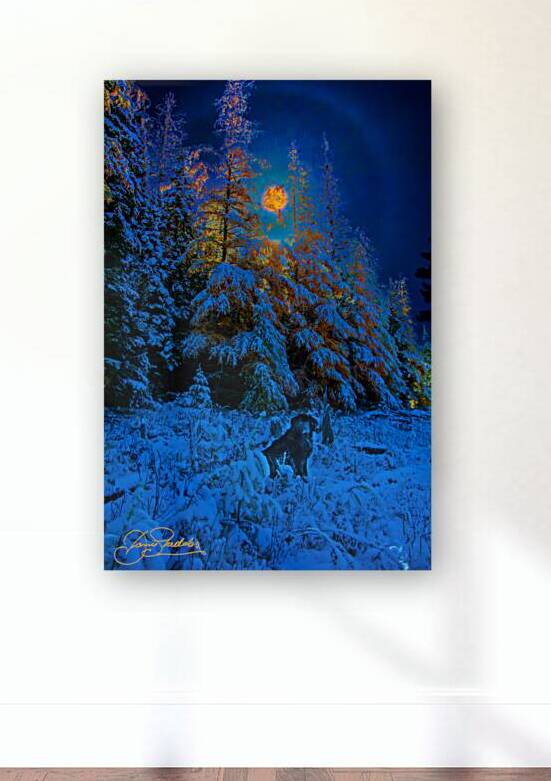 JBS 4968  by James Shedden Photography