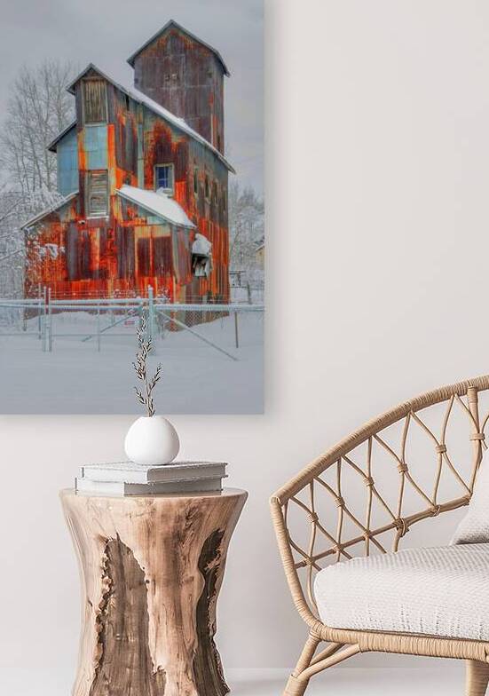 DSC 5683  by James Shedden Photography