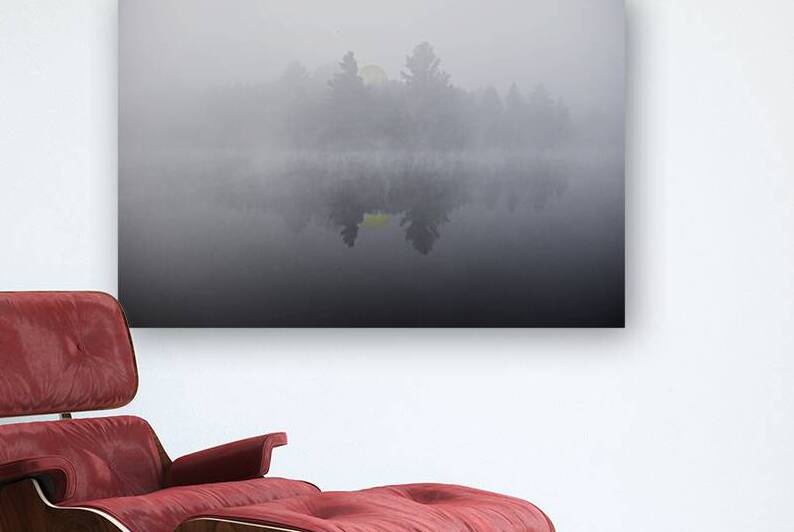 DSC 5615  by James Shedden Photography