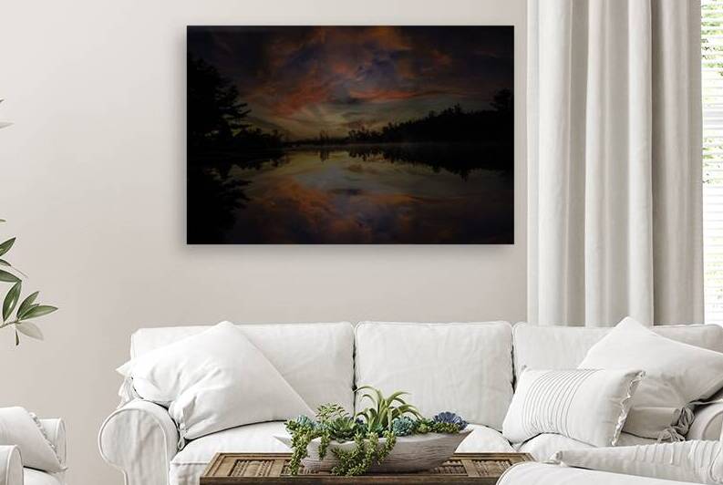 JBS 6980  by James Shedden Photography