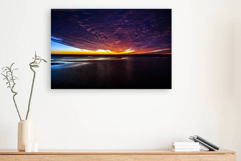 JBS 3798 by James Shedden Photography