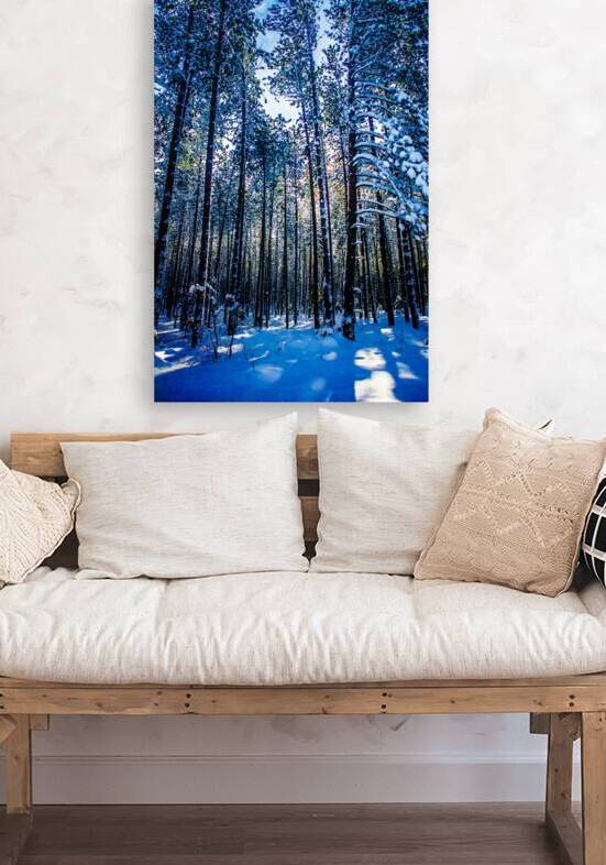 JBS 4409 by James Shedden Photography