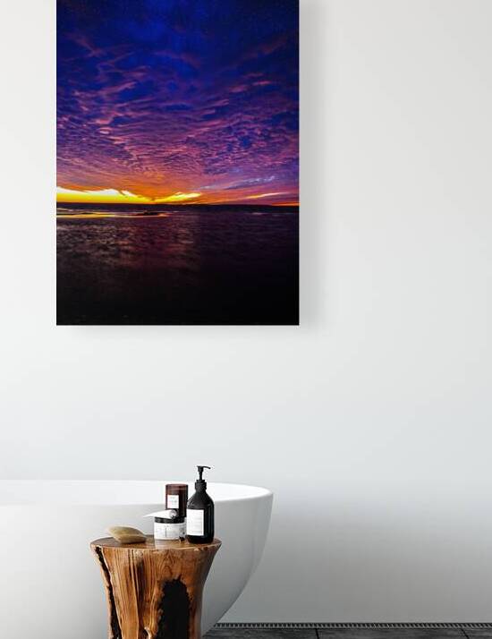 JBS 3785 by James Shedden Photography