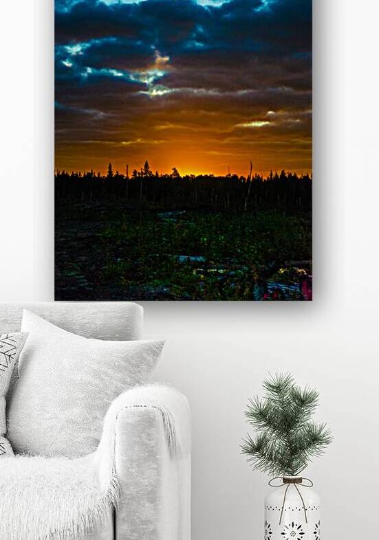 JBS 2709 by James Shedden Photography