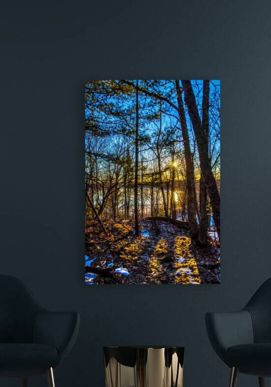 JBS 7909  by James Shedden Photography