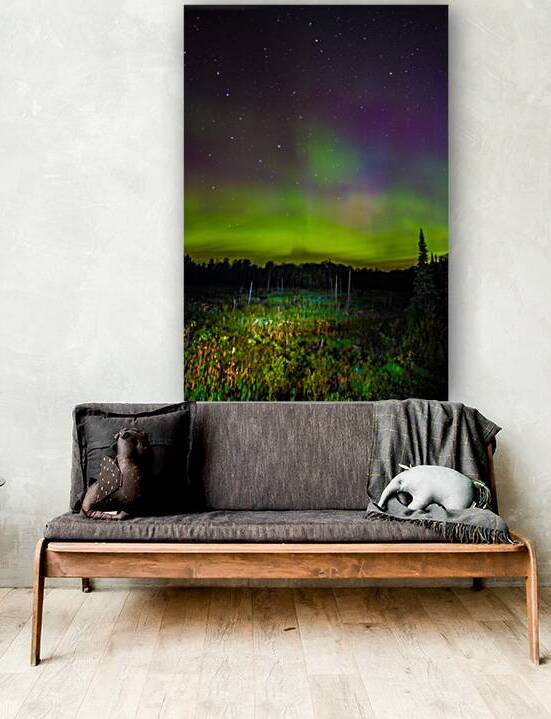 JBS 2348 by James Shedden Photography