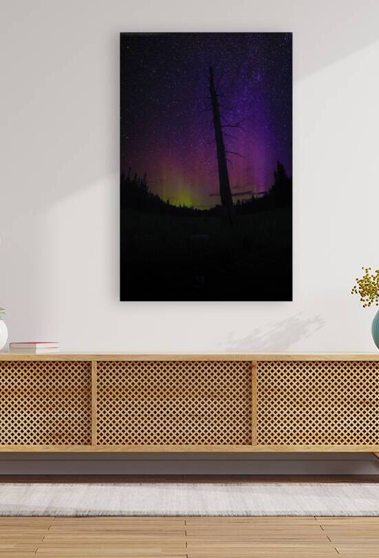 CRC 1662 by James Shedden Photography