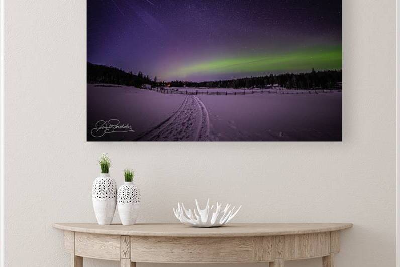 DSC 4325 by James Shedden Photography