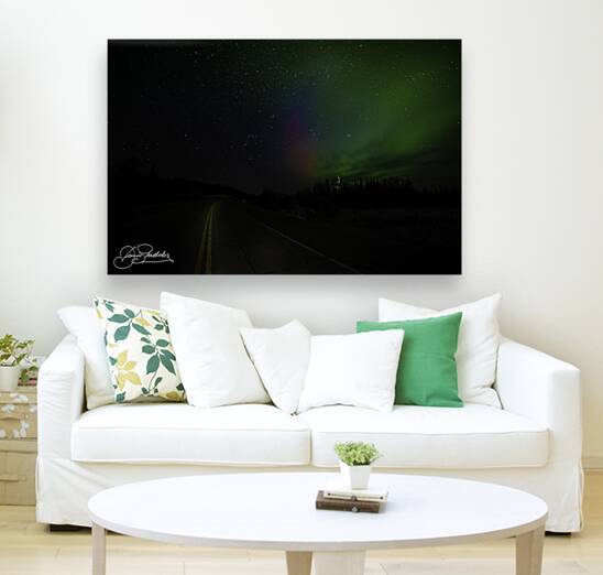 DSC 4377  by James Shedden Photography