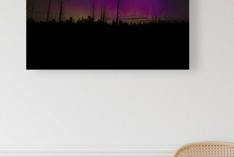 JBS 1467 by James Shedden Photography