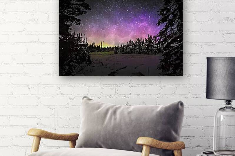 JBS 4427  by James Shedden Photography