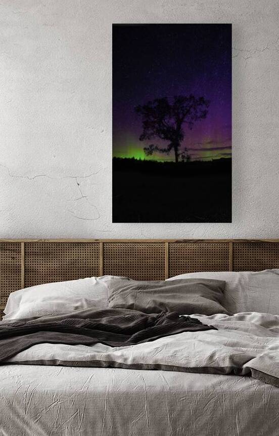 JBS 3509  by James Shedden Photography