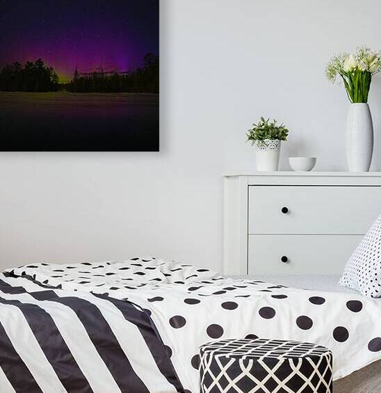 JBS 0554  by James Shedden Photography