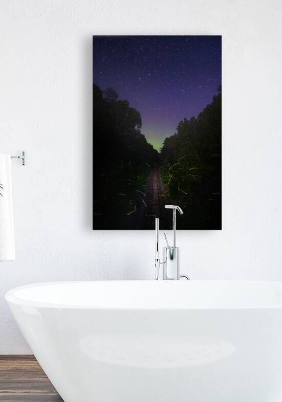 DSC 1684  by James Shedden Photography