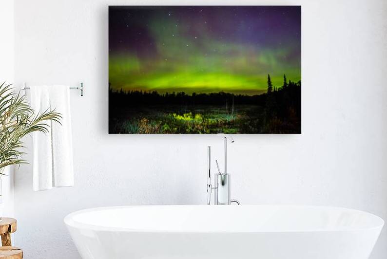 JBS 2351 by James Shedden Photography