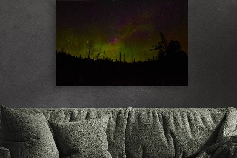 CRC 1489 by James Shedden Photography