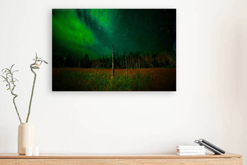 DSC 2076  by James Shedden Photography