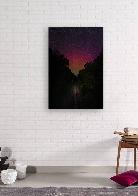 DSC 1684  by James Shedden Photography