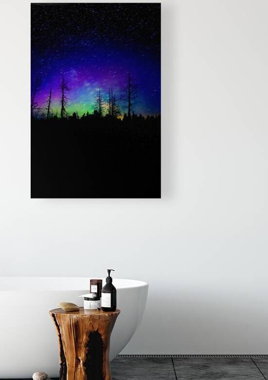 Swamp Northern Lights by James Shedden Photography