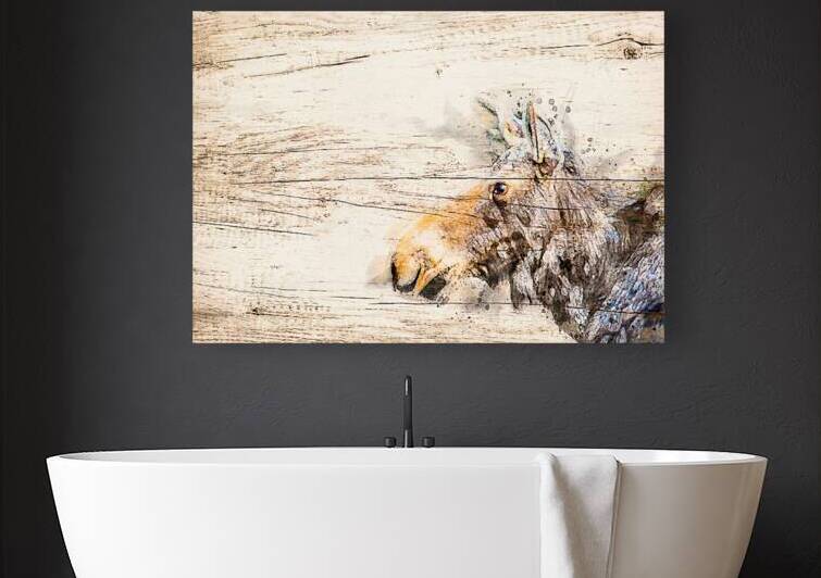 Cow Moose Abstract by James Shedden Photography