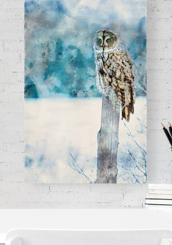 jbs 5420 owl abstract by James Shedden Photography