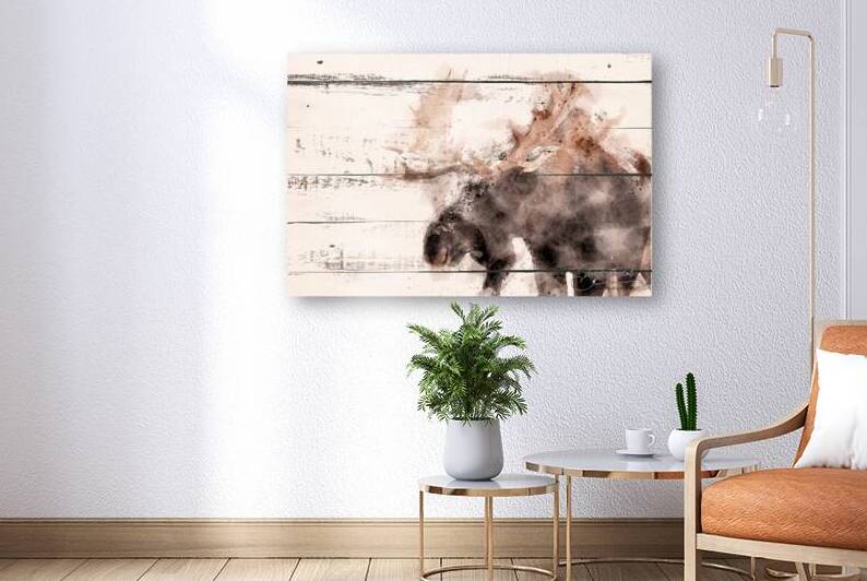 BULL MOOSE ABSTRACT by James Shedden Photography