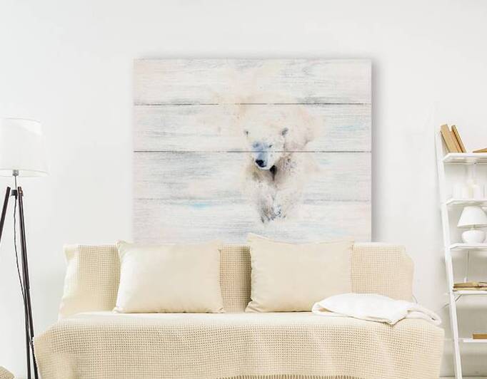 bearonbrd by James Shedden Photography