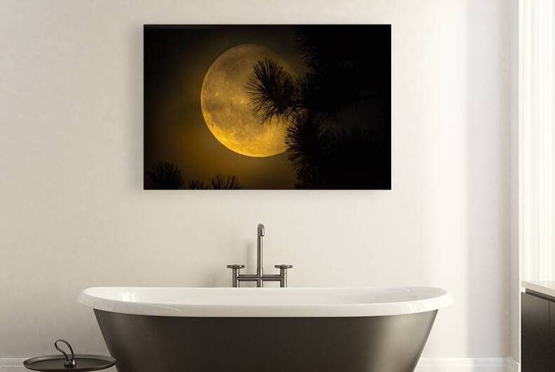 JBS 9574  by James Shedden Photography