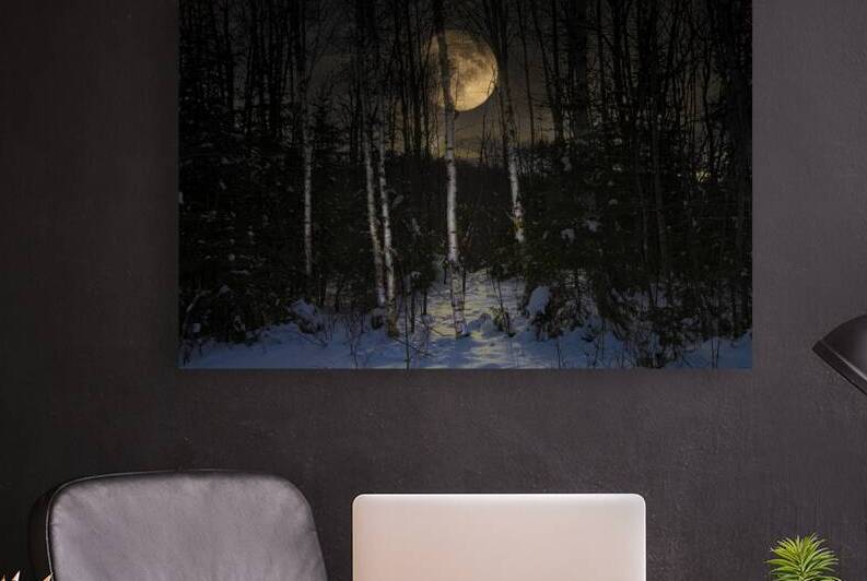 JBS 9973  by James Shedden Photography