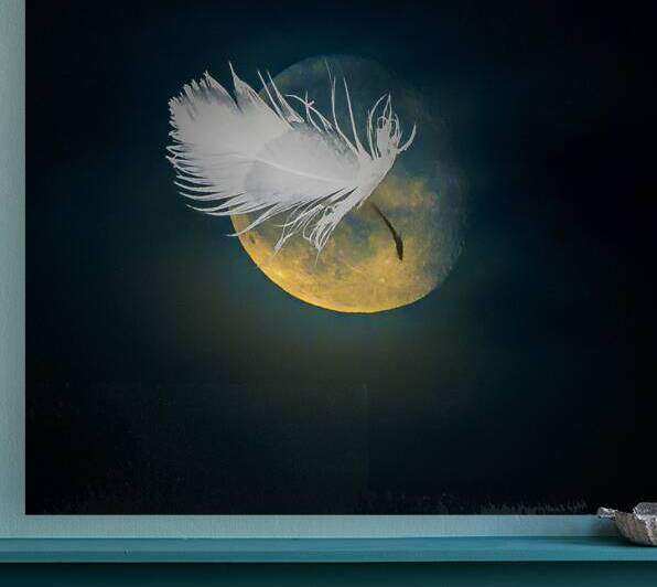 JBS 3024  by James Shedden Photography