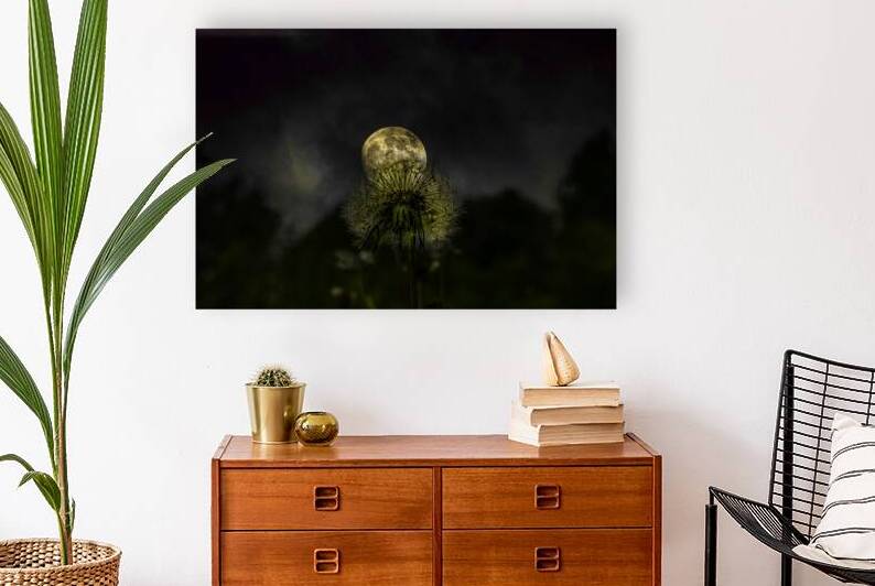 JBS 4984 1 by James Shedden Photography