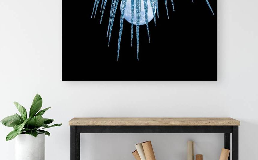 JBS 5262 by James Shedden Photography