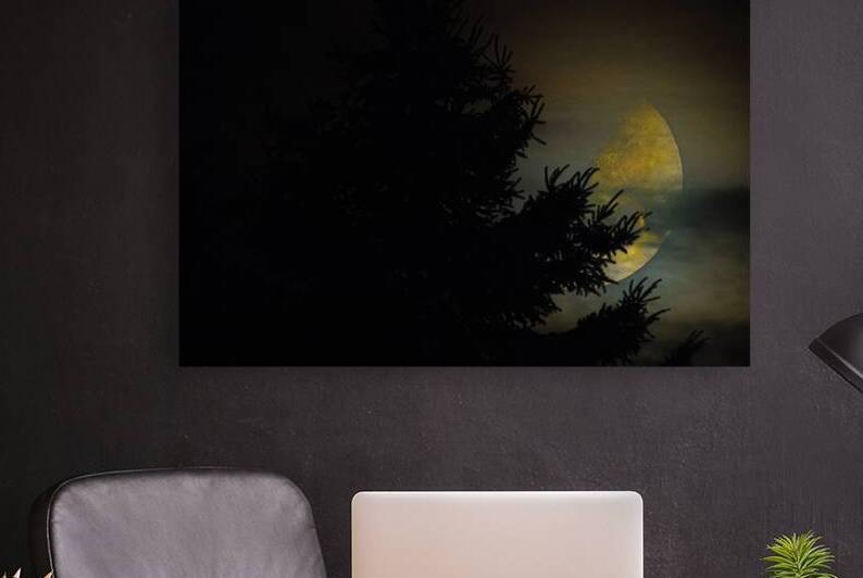 JBS 9933  by James Shedden Photography